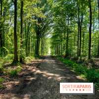 Balade nature dans la forêt de Montmorency, nos photos