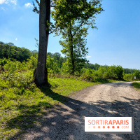 Balade nature dans la forêt de Montmorency, nos photos