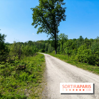 Balade nature dans la forêt de Montmorency, nos photos