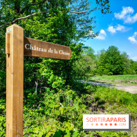Balade nature dans la forêt de Montmorency, nos photos