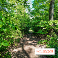 Balade nature dans la forêt de Montmorency, nos photos