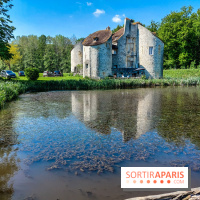 Balade nature dans la forêt de Montmorency, nos photos