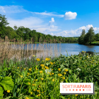 Balade nature dans la forêt de Montmorency, nos photos