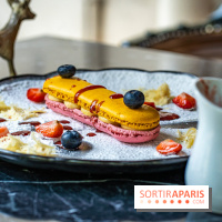 Berkeley Garden, l'excellent restaurant indien à deux pas du Pont de l'Alma -  A7C7541