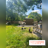 La ferme de la Villette et ses animaux