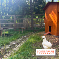 La ferme de la Villette et ses animaux