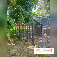 La ferme de la Villette et ses animaux - image00012