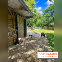 La ferme de la Villette et ses animaux