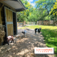 La ferme de la Villette et ses animaux