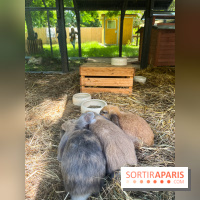 La ferme de la Villette et ses animaux