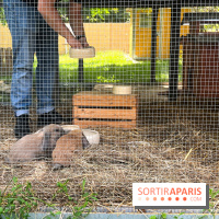 La ferme de la Villette et ses animaux
