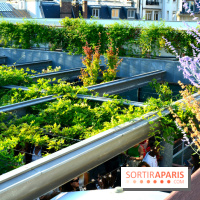 Goku Rooftop au Musée Guimet : la terrasse gourmande à Paris - DSC 0064