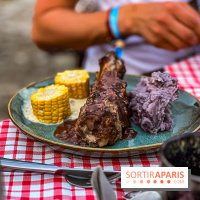 L'Été Gaulois au Parc Astérix  - IMG 9130 jpg