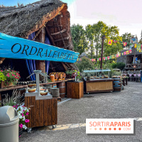 L'Été Gaulois au Parc Astérix  - IMG 9101