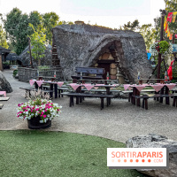 L'Été Gaulois au Parc Astérix  - IMG 9104