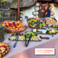 L'Été Gaulois au Parc Astérix  - IMG 9099