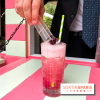 Les Jardins du Marais : la terrasse de l'été 2023 - image00015