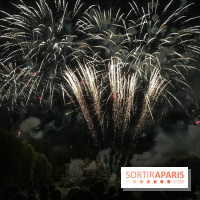 Visuels feux d'artifice - IMG 6241