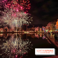 Visuels feux d'artifice - IMG 5338