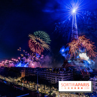 Feu d’artifice de Paris 2023 - photos  -  A7C8302