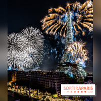 Feu d’artifice de Paris 2023 - photos  -  A7C8383