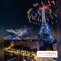 Feu d’artifice de Paris 2023 - photos  -  A7C8273