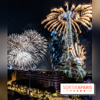 Feu d’artifice de Paris 2023 - photos  -  A7C8382