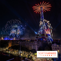 Feu d’artifice de Paris 2023 - photos  -  A7C8270