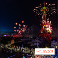 Feu d’artifice de Paris 2023 - photos  -  A7C8243