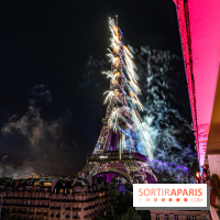 Feu d’artifice de Paris 2023 - photos  -  A7C8227