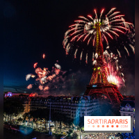 Feu d’artifice de Paris 2023 - photos  -  A7C8245