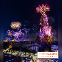 Feu d’artifice de Paris 2023 - photos  -  A7C8255