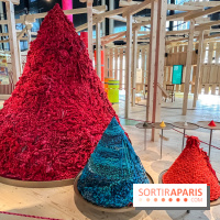 Urgence climatique, l'exposition permanente de la Cité des Sciences - image00008