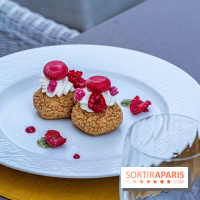 Garden barbecue au Trianon Palace à Versailles -  A7C8467