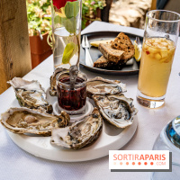 Le village de Flagy en Seine et Marne -  A7C8695