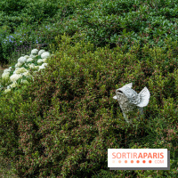 Grandeur nature, l'exposition contemporaine dans les Jardins du Château de Fontainebleau