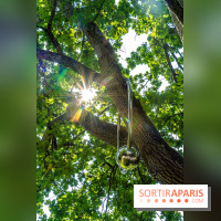 Grandeur nature, l'exposition contemporaine dans les Jardins du Château de Fontainebleau -  A7C9159