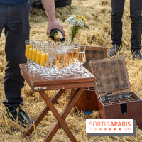 Montgolfière à Fontainebleau, vol au dessus de l'Ile-de-France -  A7C9031