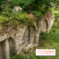 Samois-sur-Seine - Village de Caractère - Seine-et-Marne -  A7C9215
