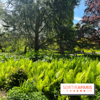 Le parc Kellerman, bijou de verdure dans le 13e arrondissement