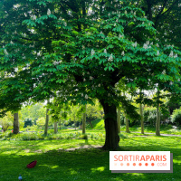 Le parc Kellerman, bijou de verdure dans le 13e arrondissement