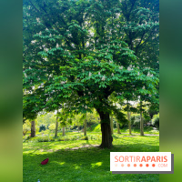 Le parc Kellerman, bijou de verdure dans le 13e arrondissement