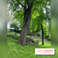 Le parc Kellerman, bijou de verdure dans le 13e arrondissement