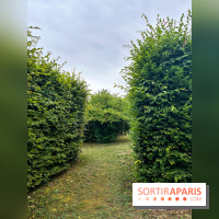 Les labyrinthes de Gally 2023 - image00011