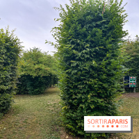 Les labyrinthes de Gally 2023 - image00012