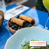 Riviera Fuga - Cannoli tartare de bœuf