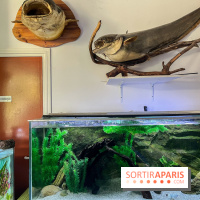 La Maison de la Pêche et de la Nature - image00021