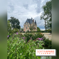 Le long de l'Oise, entre Auvers-sur-Oise et l'Isle-Adam - image00099