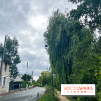 Le long de l'Oise, entre Auvers-sur-Oise et l'Isle-Adam