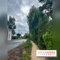 Le long de l'Oise, entre Auvers-sur-Oise et l'Isle-Adam - image00076